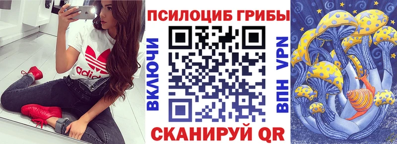 даркнет формула Зуевка Псилоцибиновые грибы GOLDEN TEACHER закладки
